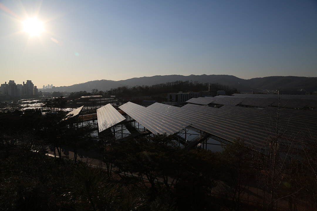 非牟利組織「能源分享與和平」在韓國擁有16間太陽能發電站,盈利用於支援能源貧困階層。攝:孫賢亮/端傳媒