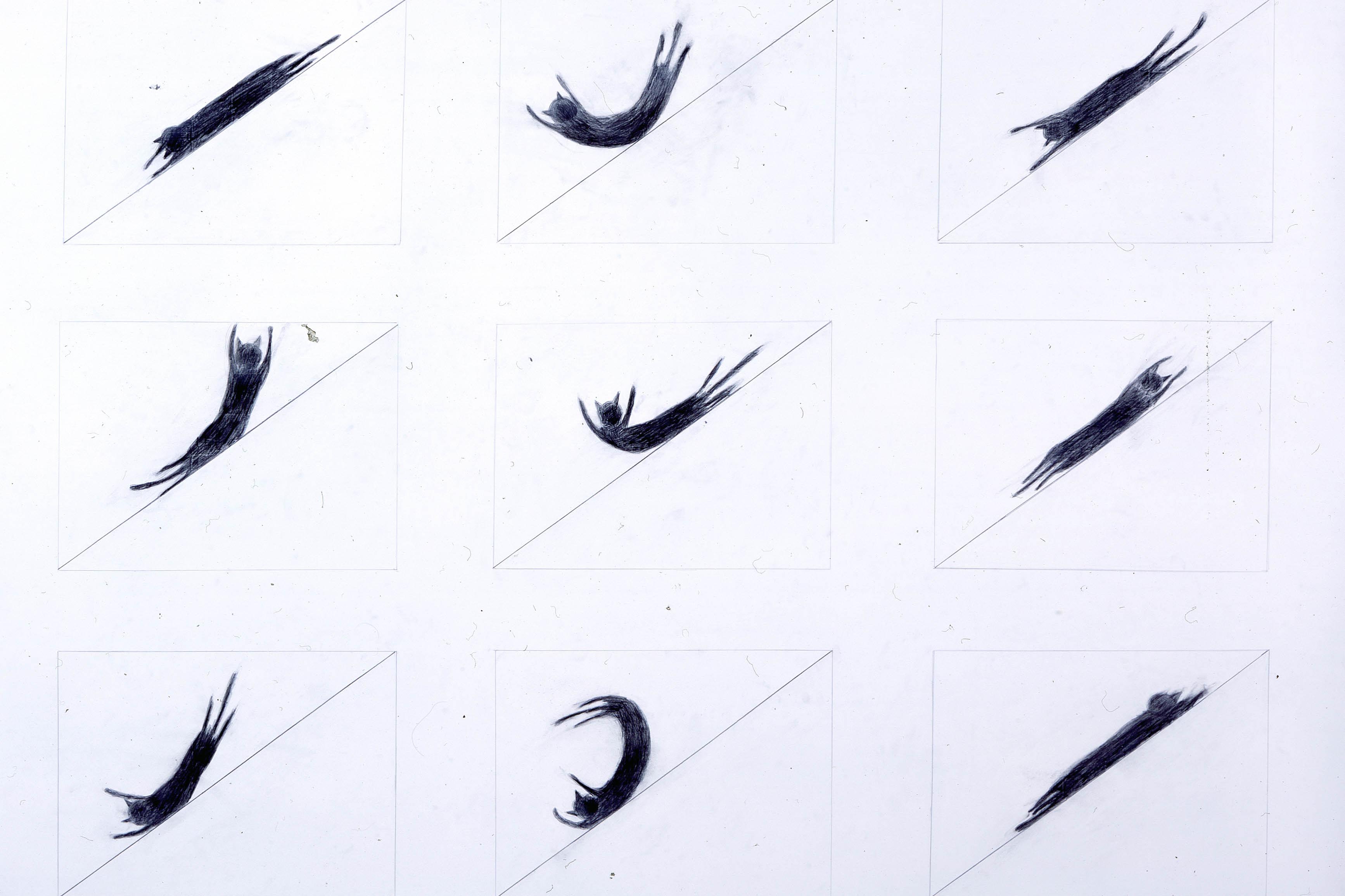 落合多武作品《Drawing For Cat Slide》(圖片由香港藝術中心提供)